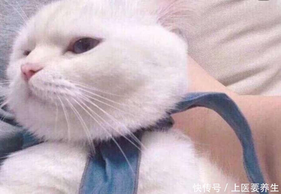 从表情沙雕那偷来的网友表情,搞笑我们是认搞笑沙雕包小怎么下载图片