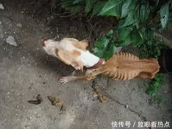 一吸毒男子被警察搜家,刚打开门被眼前的一幕