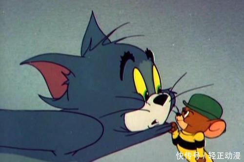 猫和老鼠蕴含的人生道理, 只有长大了才看懂!