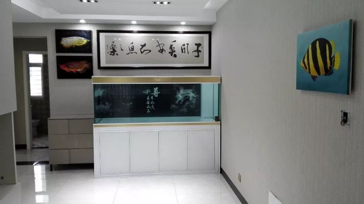 阜新市細河區(qū)神仙魚水族館（阜新市細河區(qū)神仙魚水族館地址）