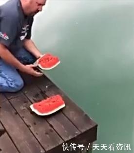 国外男子用西瓜钓鱼,原因是为了证明西瓜能钓