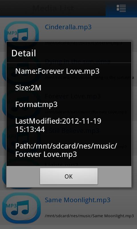 Mp4 Flv Mp3 Wav Media Player截图5