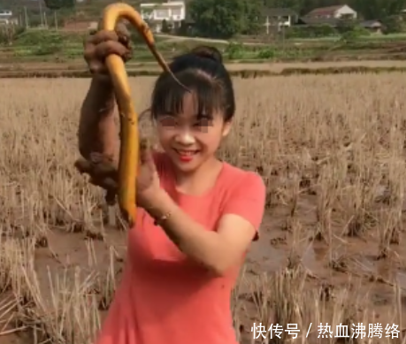 女子去田里抓黄鳝，想要亲吻拍照炫耀，黄鳝的一个动作让她悲剧了