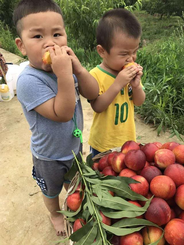哪些水果不打农药 t01a20ce0a3c095452c.jpg?size=640x853