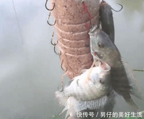 小伙在矿泉水瓶里挂满鱼钩后拿去钓鱼,结果一