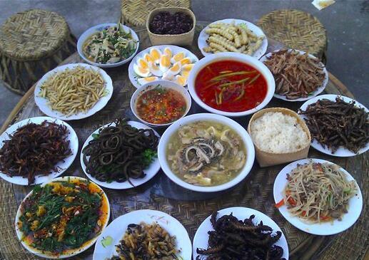 云南人真会吃:昆虫蛋白含量超高,但现在没落了!