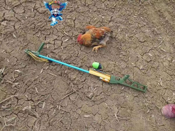 全套 弹弓打鱼多少钱可以看看图片吗_360问答