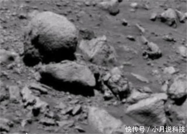 就在好奇号宣布的火星发现前!NASA图片显示了“外星化石”!