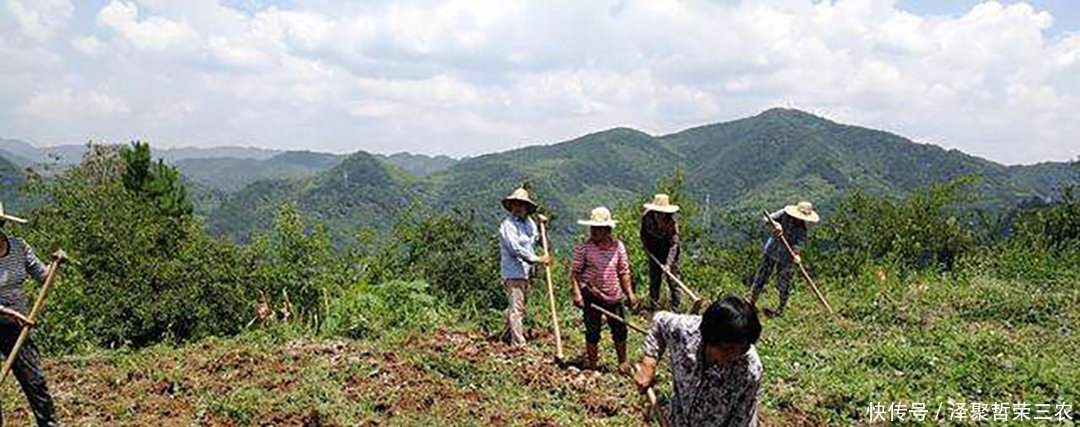 2019年农民种啥种业选择考虑3个问题,不要又