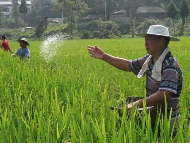 你买的可能是“假化肥”吗？三招教你辨别