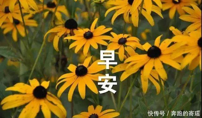 12月最新漂亮早上好图片表情冬天搞笑图胖女人带字,最漂亮早晨图片
