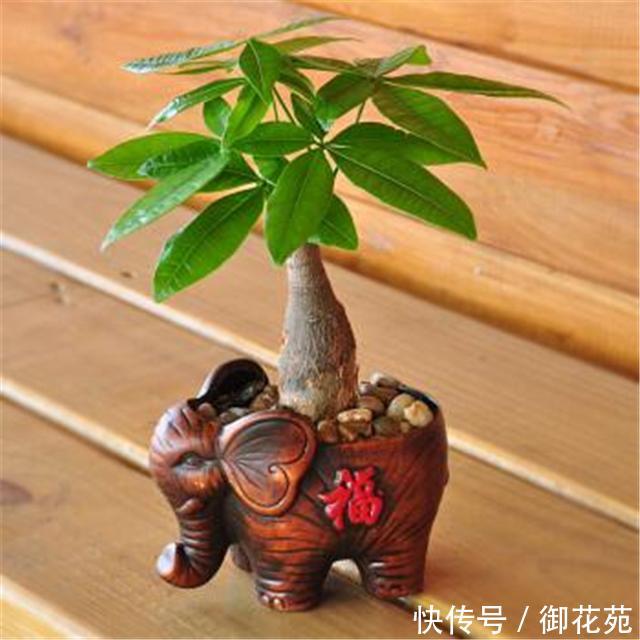 t01a6314abb0750f429.jpg