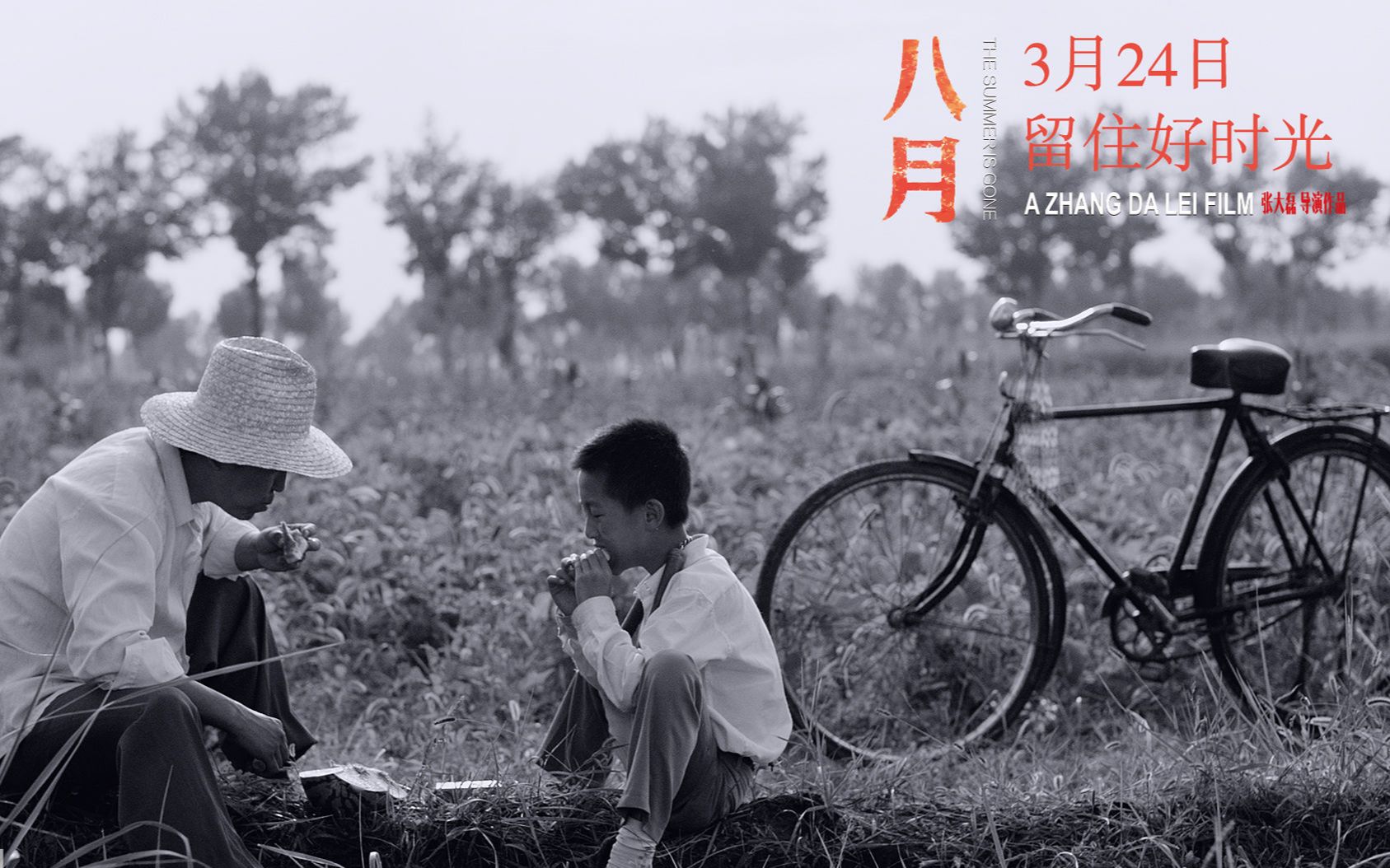 【国产/2017【第53届台湾电影金马奖《八月》预告片