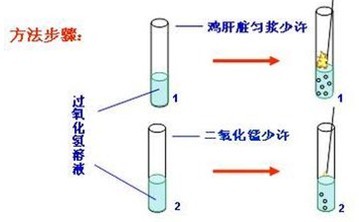 淀粉酶同工酶电泳检验值为AMY35u\/L是什么意