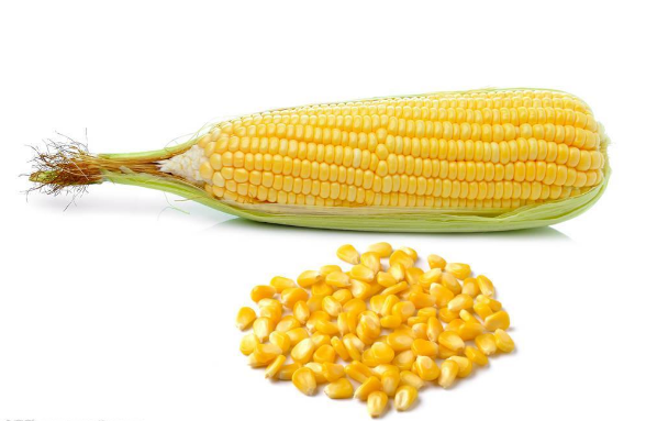 尖锐湿疣总反复,3种天然的消疣药,2杯排毒茶