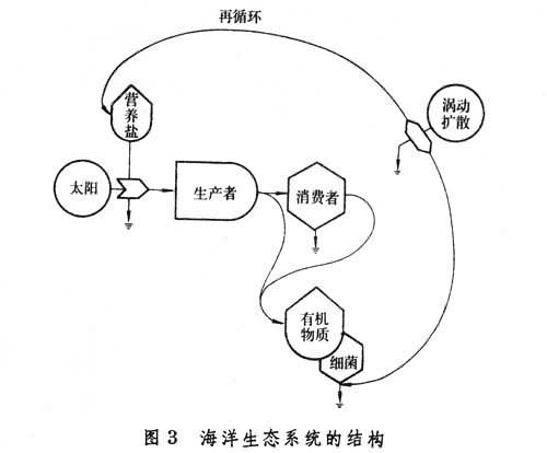 海洋生态