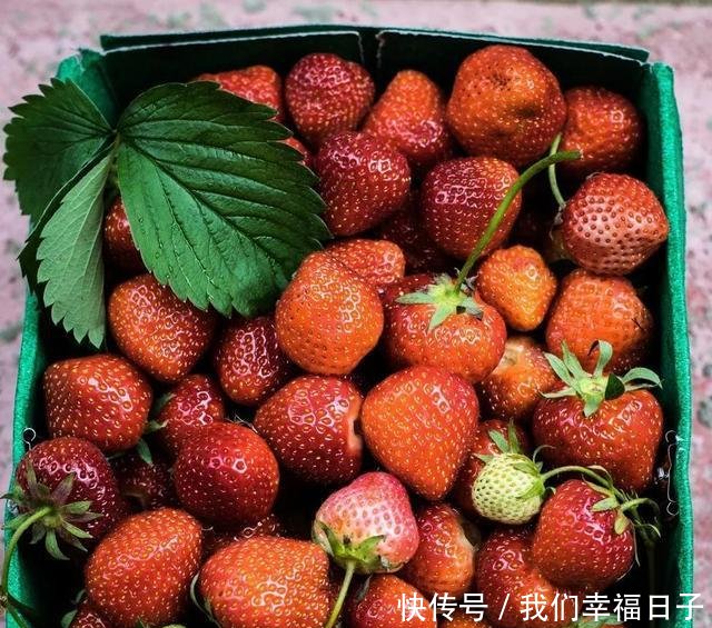 吃草莓的时候到了,重庆冬草莓采摘地图在这儿