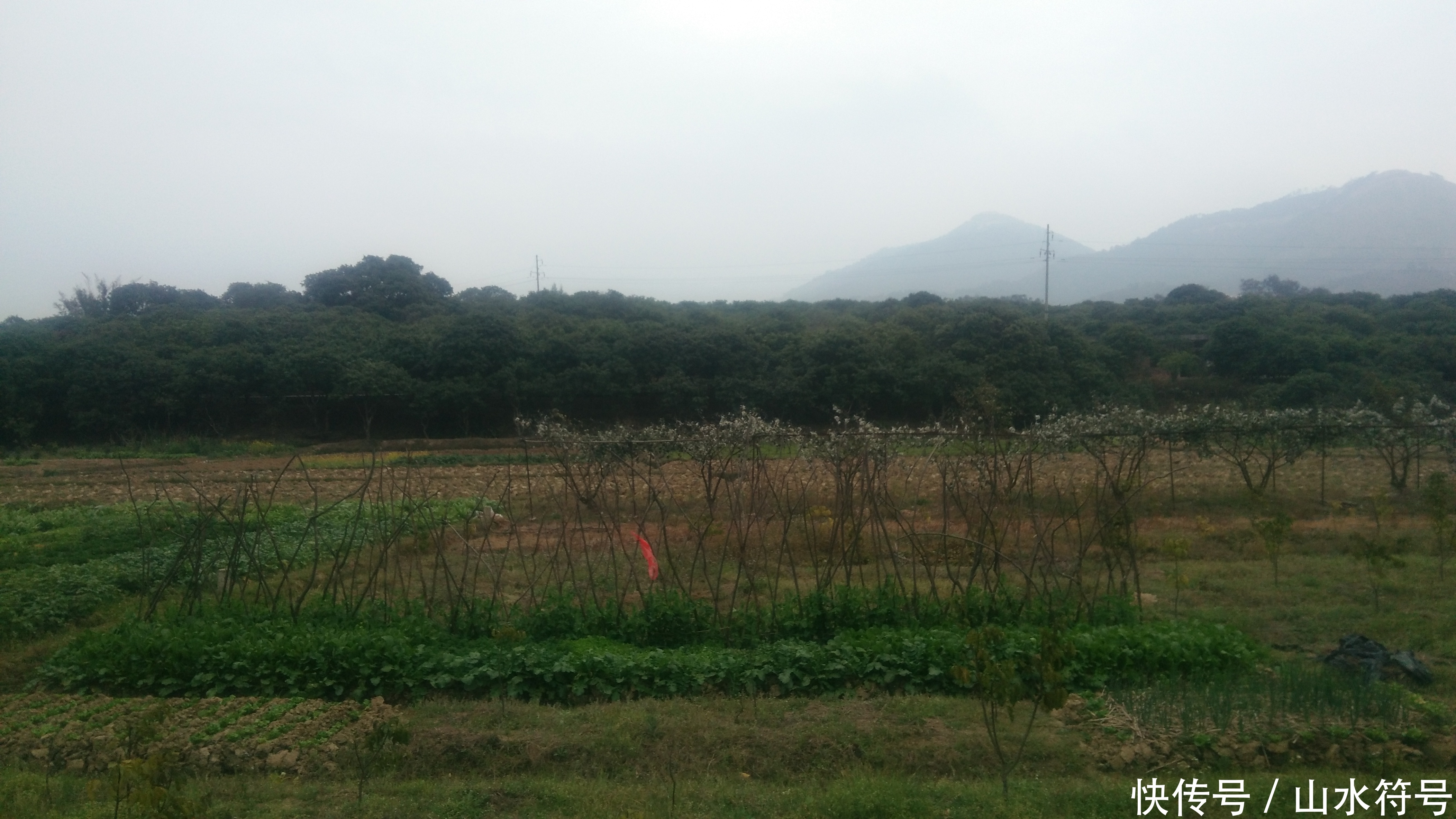 春节后的农田景象广西浦北县白石水