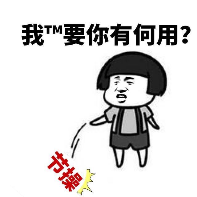 表情后院最多的斗图表情合辑头条包这是猫咪图片