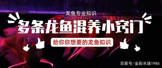 水族展會(huì)2023年時(shí)間表最新消息（水族展會(huì)2023年時(shí)間表最新消息視頻）