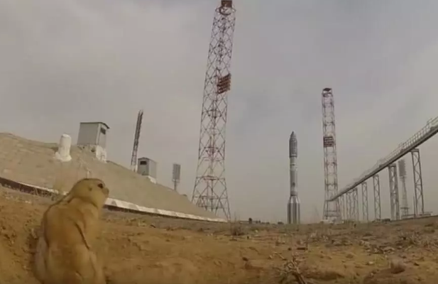 摄影师记录火箭发射全程,惊喜拍到土拨鼠,路人