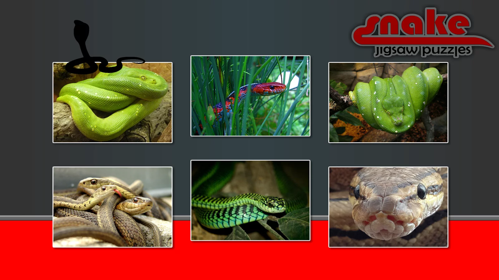 Snake Jigsaw Puzzles截图15