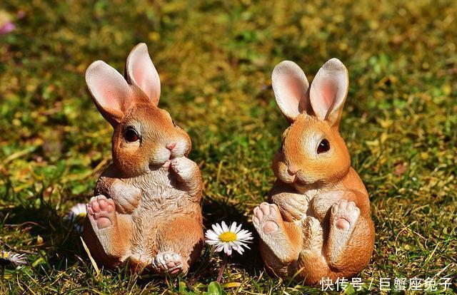 属兔男下班后,回到家第一件事做什么