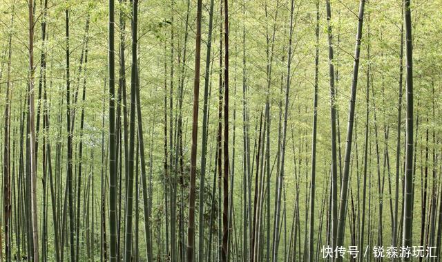 湖南六大冷门景点,景美人少,旅游不得不去