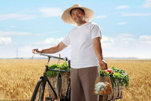 中央一号文件发布,农民得到切身福利,让城里人