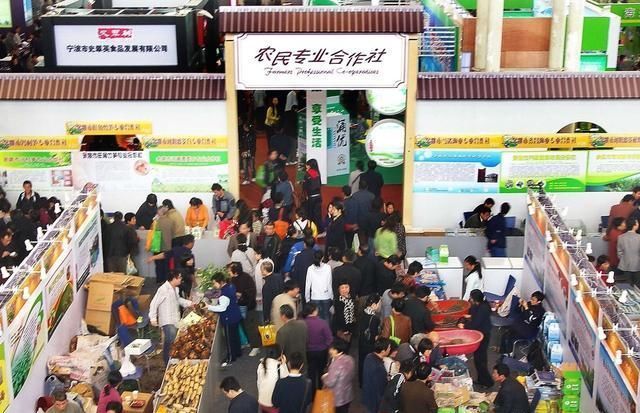 八师147团11连新希望种植专业合作社社员喜领