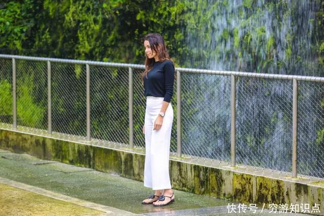 这是什么节奏?新加坡竟然花了10亿打造“原始森林”