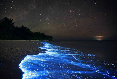 离潍坊最近的哪里有海萤?_365问答