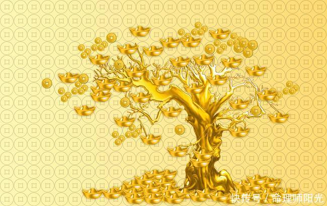 未来大有出息,好运不断的生肖