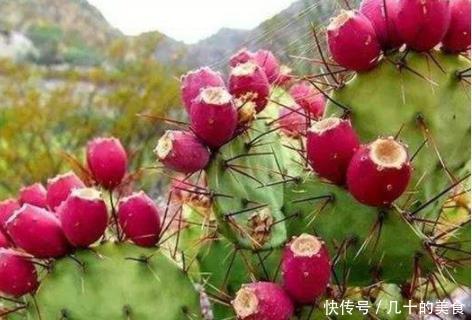 此果农村很多却没人吃,到城里摇身一变成“仙桃”,1斤70还热卖 澳门皇冠东方在线