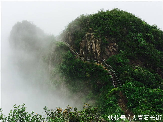 广东连山金子山发现一种山坑鱼,长相美丽却不能吃
