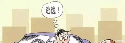 车祸!泰和万和镇一司机致人重伤后逃逸,他竟这