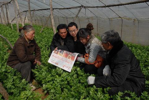 今年开始, 农村有3个变化, 取消5类村干部, 农民盼这4种人当选