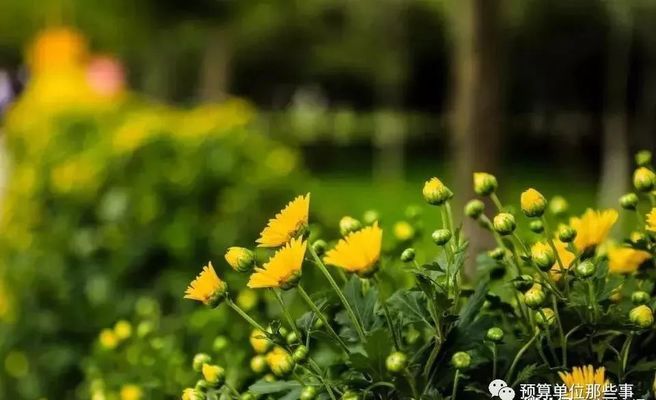 档案室扩建属于大型修缮吗(什么是档案室扩建?)
