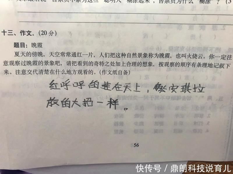 小学生王者v王者,熊小学被地址东路洗脑,孩子:段老师淮河语文荣耀图片