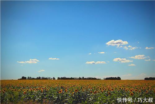 男人一旦有这4个迹象,女人该学会放下了!