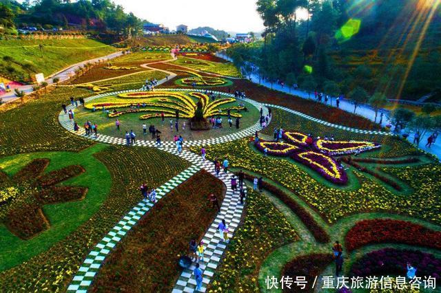 周末游我被重庆南川慢谷陶醉