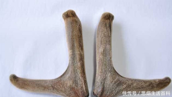 t01baa64aedde680eed.jpg?size=600x340