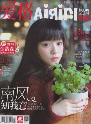 爱格杂志2012年12b 爱格图书