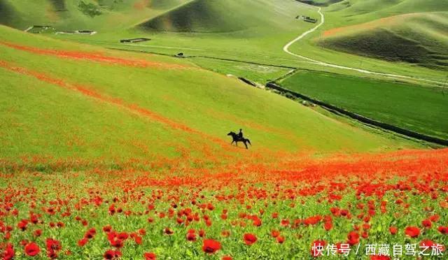 巩乃斯大草原,天山深处的“伊甸园”,一年四季都美得惊人!