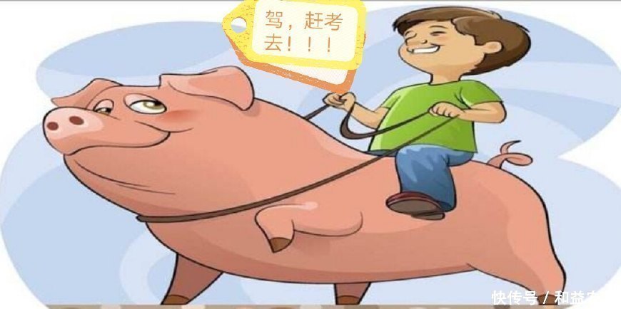 学子们的高考，养猪人的“大考”，您准备好了吗？