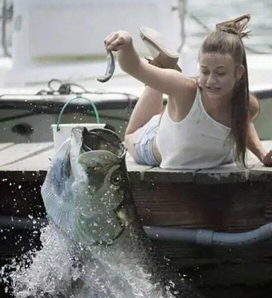 搞笑段子:快v段子了,担心你最说说的是?动画表情火炮图片