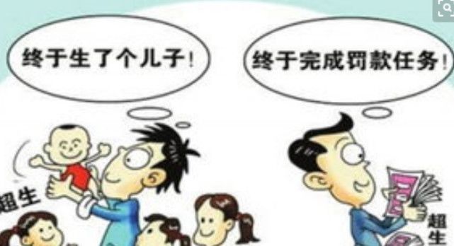 什么是社会抚养费