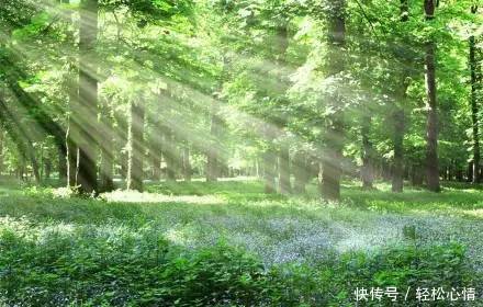 做 人 , 少 玩 心 眼!