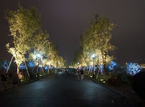 西湖游玩攻略夜,西湖游玩攻略