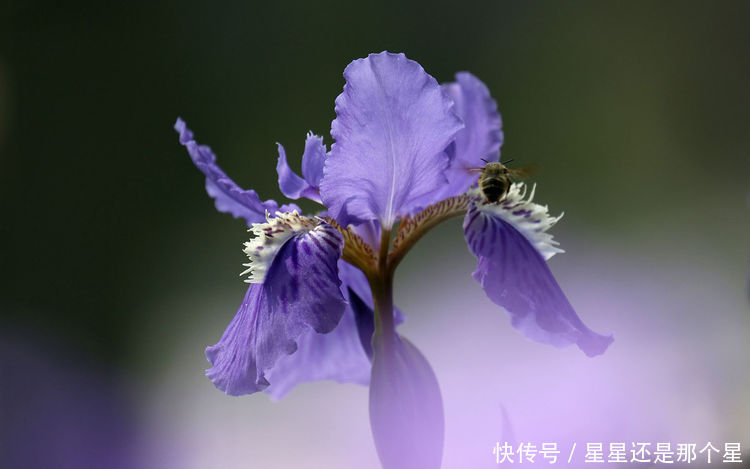 算命的说，时来运转，这3大生肖，端午节过后事业难得顺风顺水！